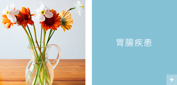 胃腸疾患
