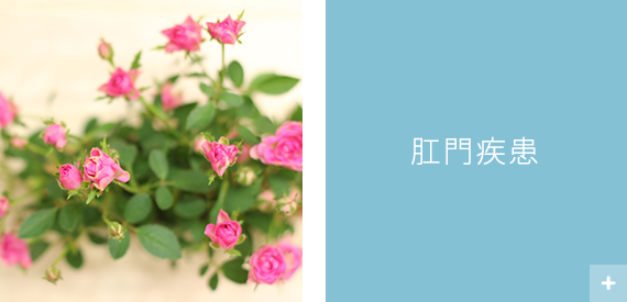 肛門疾患